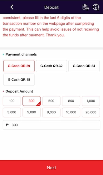 Step 3: Enter the deposit amount and click “NEXT” to move to the next payment step.