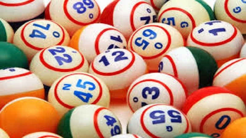 What is lotto?